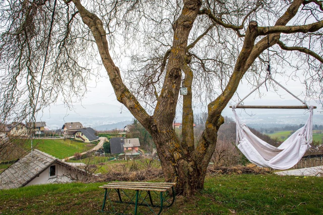 Vineyard Cottage Klemencic Novo Mesto Exterior photo