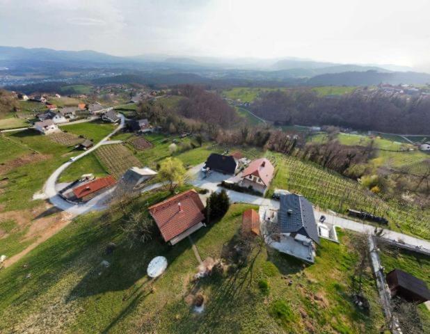 Vineyard Cottage Klemencic Novo Mesto Exterior photo