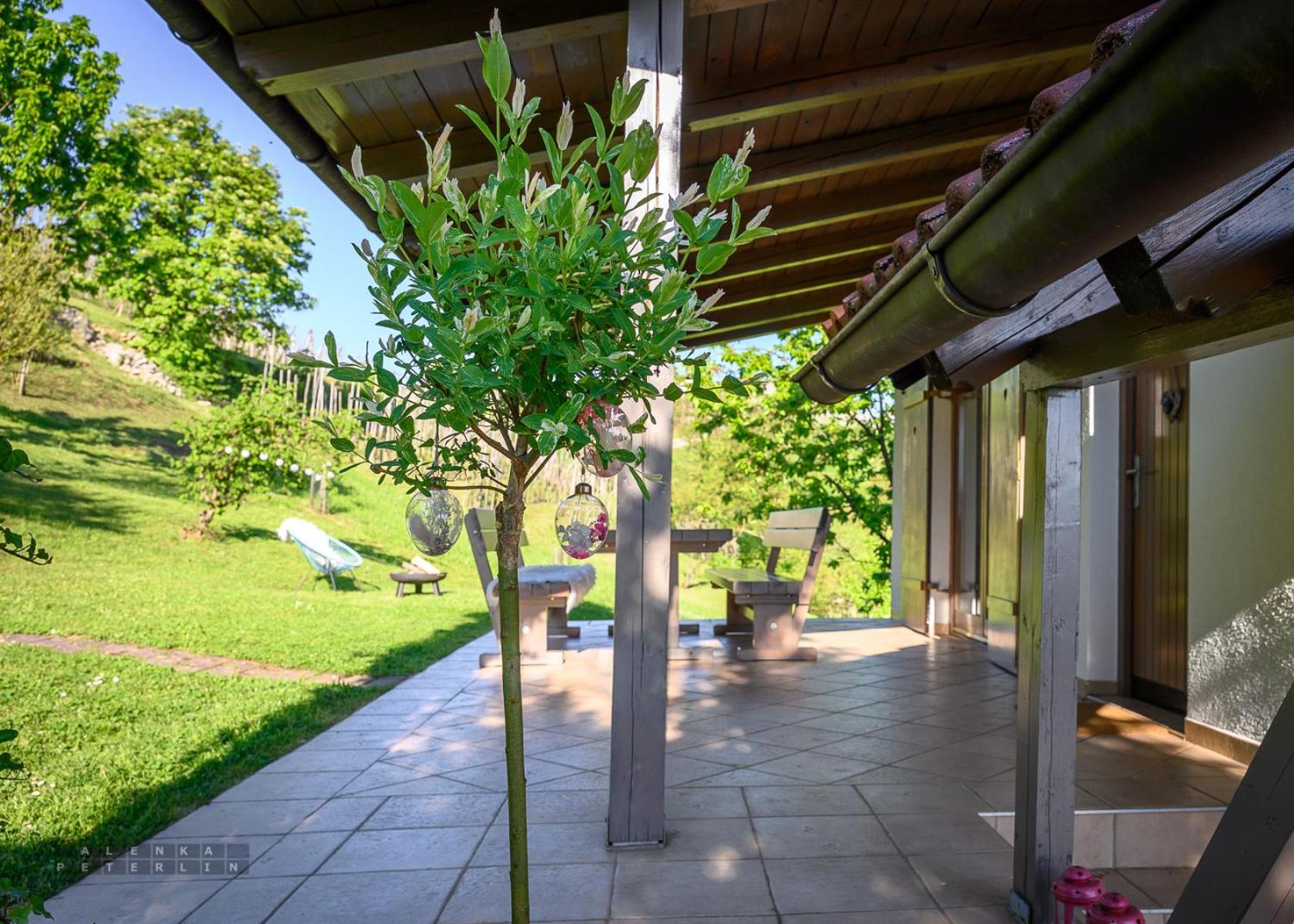 Vineyard Cottage Klemencic Novo Mesto Exterior photo